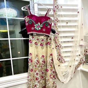 Lehnga Saree  stitched on net fabric little cream to beige base